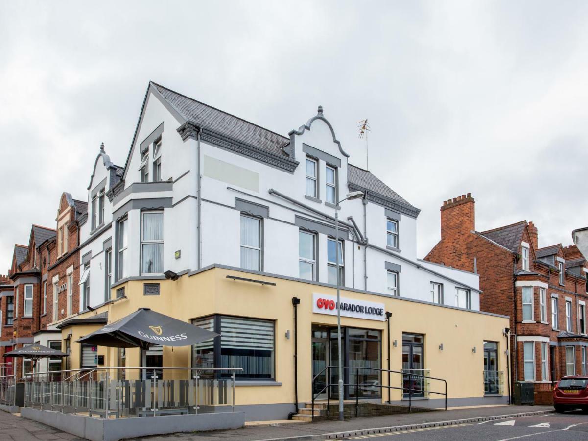 Oyo Parador Lodge Belfast Dış mekan fotoğraf